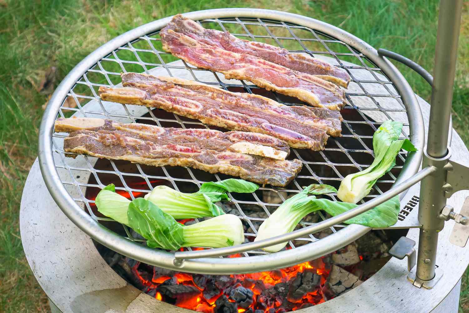 Grilled beef ribs and bok choy over an open fire