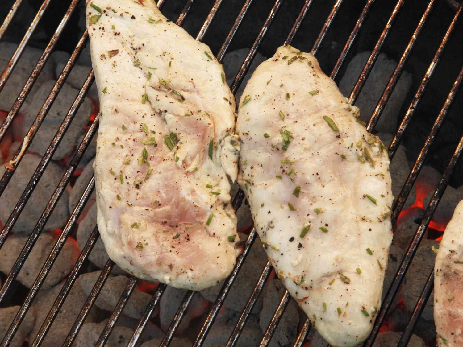 Grilling two seasoned chicken cutlets over hot charcoal until they're only slightly pink on top.
