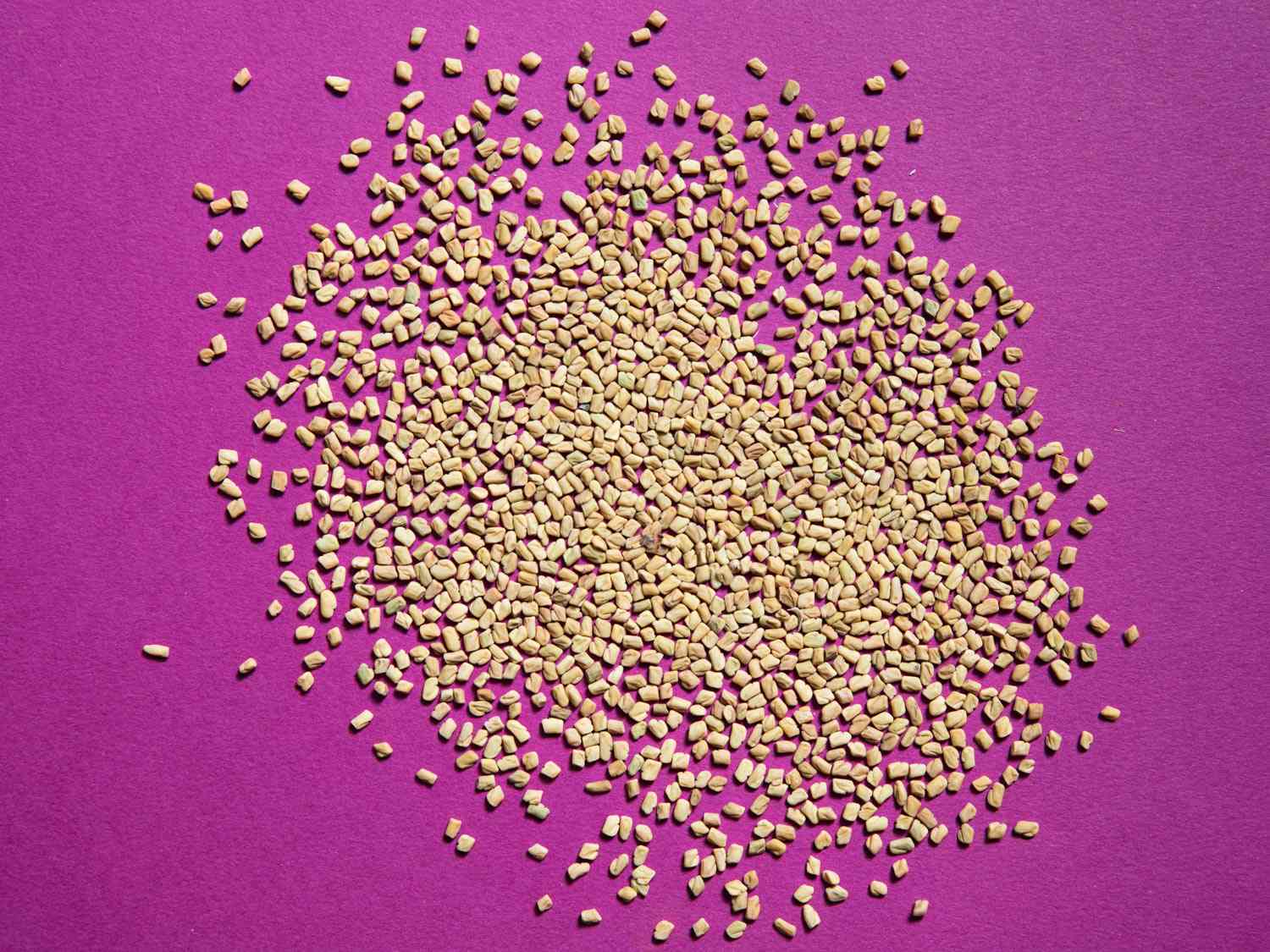 fenugreek seeds on a purple background