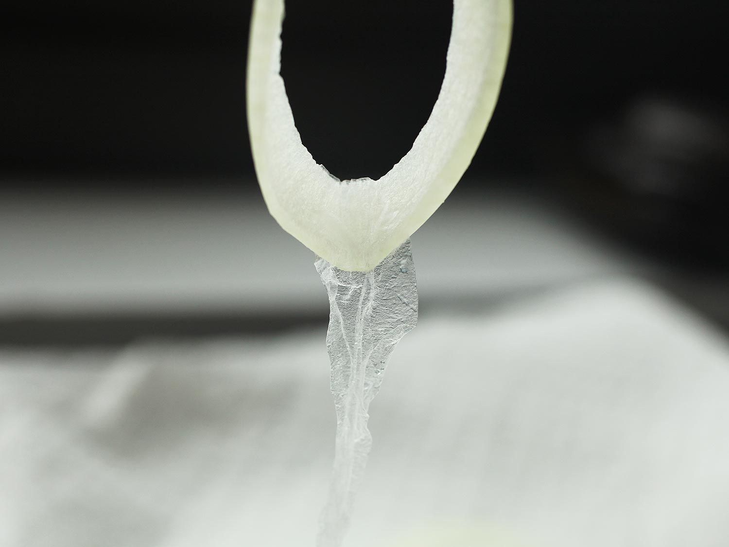 A raw, unbattered onion ring is held up for examination. A thin membrane has been partially rubbed off and hangs from the ring.