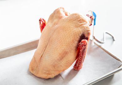 20200102-duck-vicky-wasik-Crowns-18