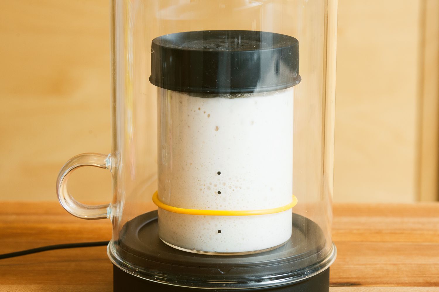 a sourdough starter in the sourhome