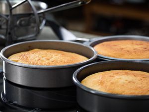 Baked vanilla cake in cake pans
