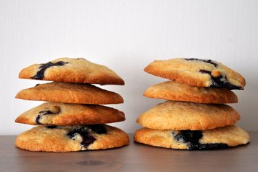 20120725-cookie-monster-best-blueberry-cookies.JPG