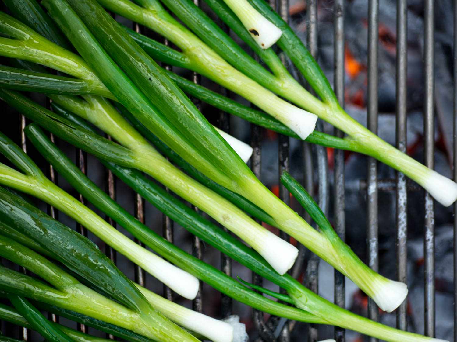 Green onions on a grill grate. 