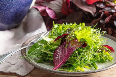 A plate with a mixed greens salad fork placed beside red leaves and herbs visible