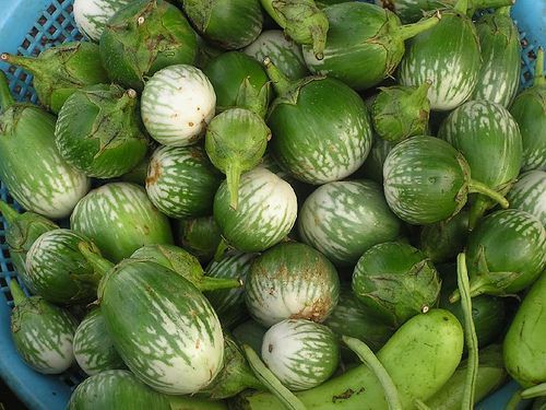 20100405eggplant.jpg