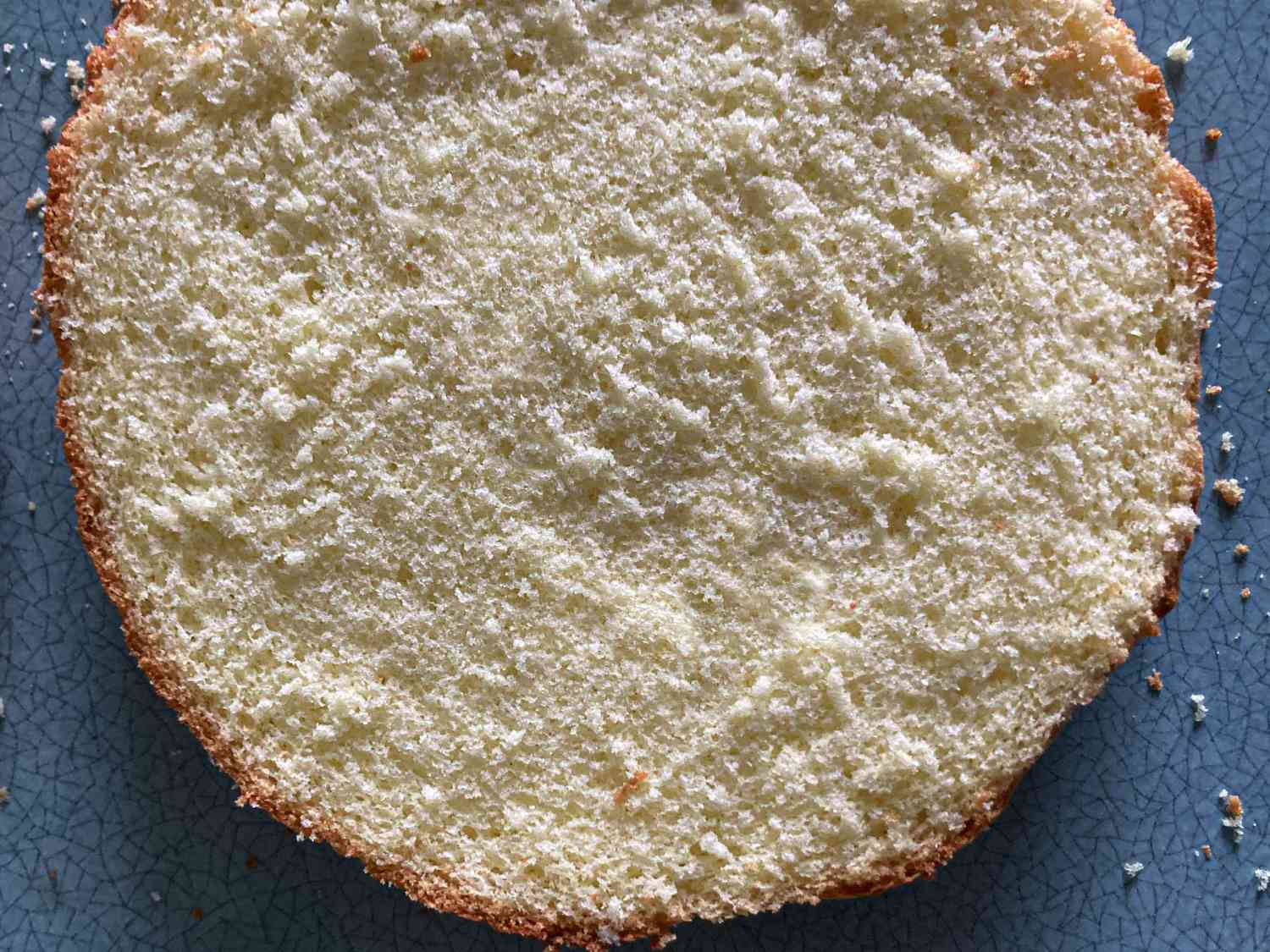 Overhead view of genoise sponge cross section, showcasing the sponge 