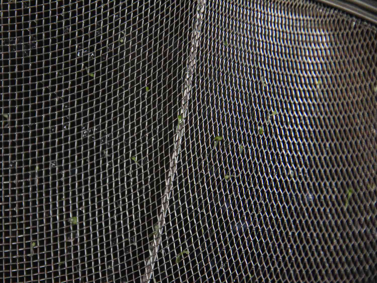 An up close look at the textured surface of a colander with bits of broccoli trapped in it