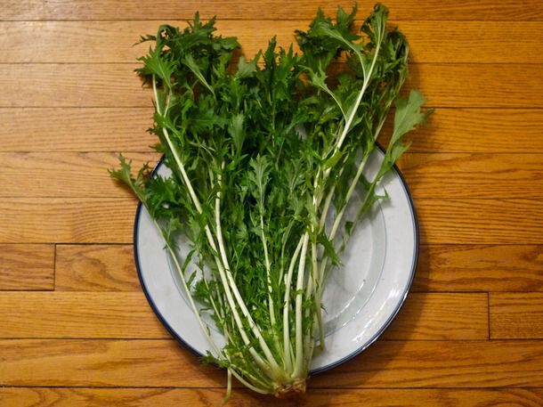 Mizuna resting on a plate