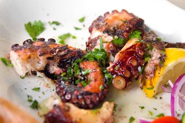 20141103-gregorys-octopus-max-falkowitz.jpg