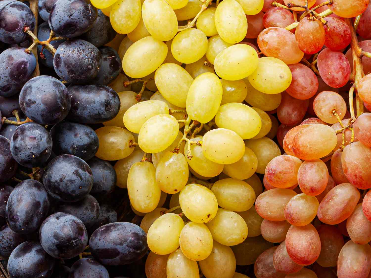 Three varieties of grapes arranged in columns