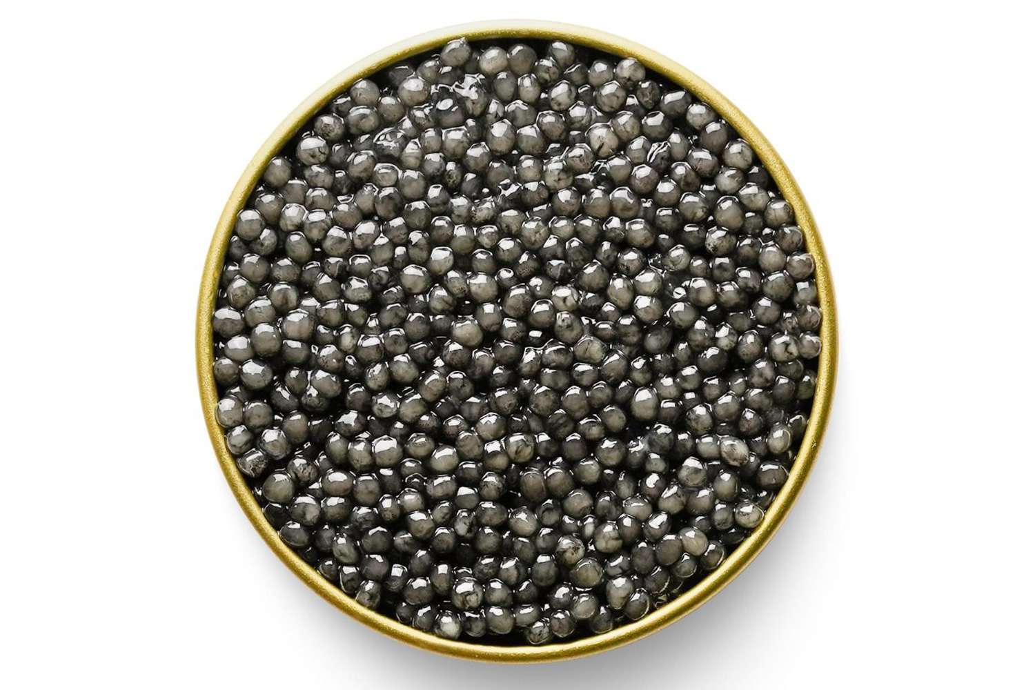 Marky's Beluga (Huso Huso)