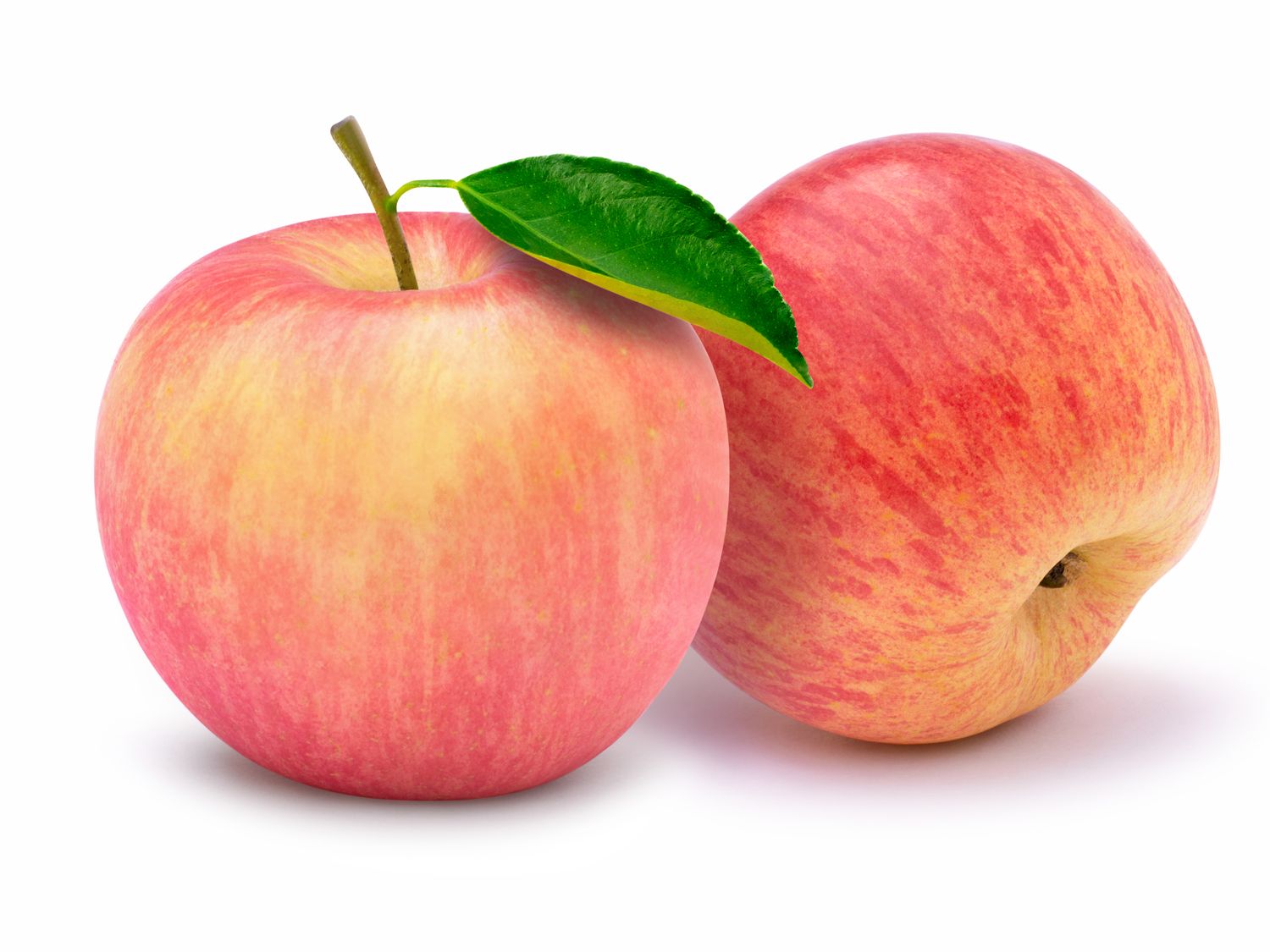 Two apples one with a leaf attached