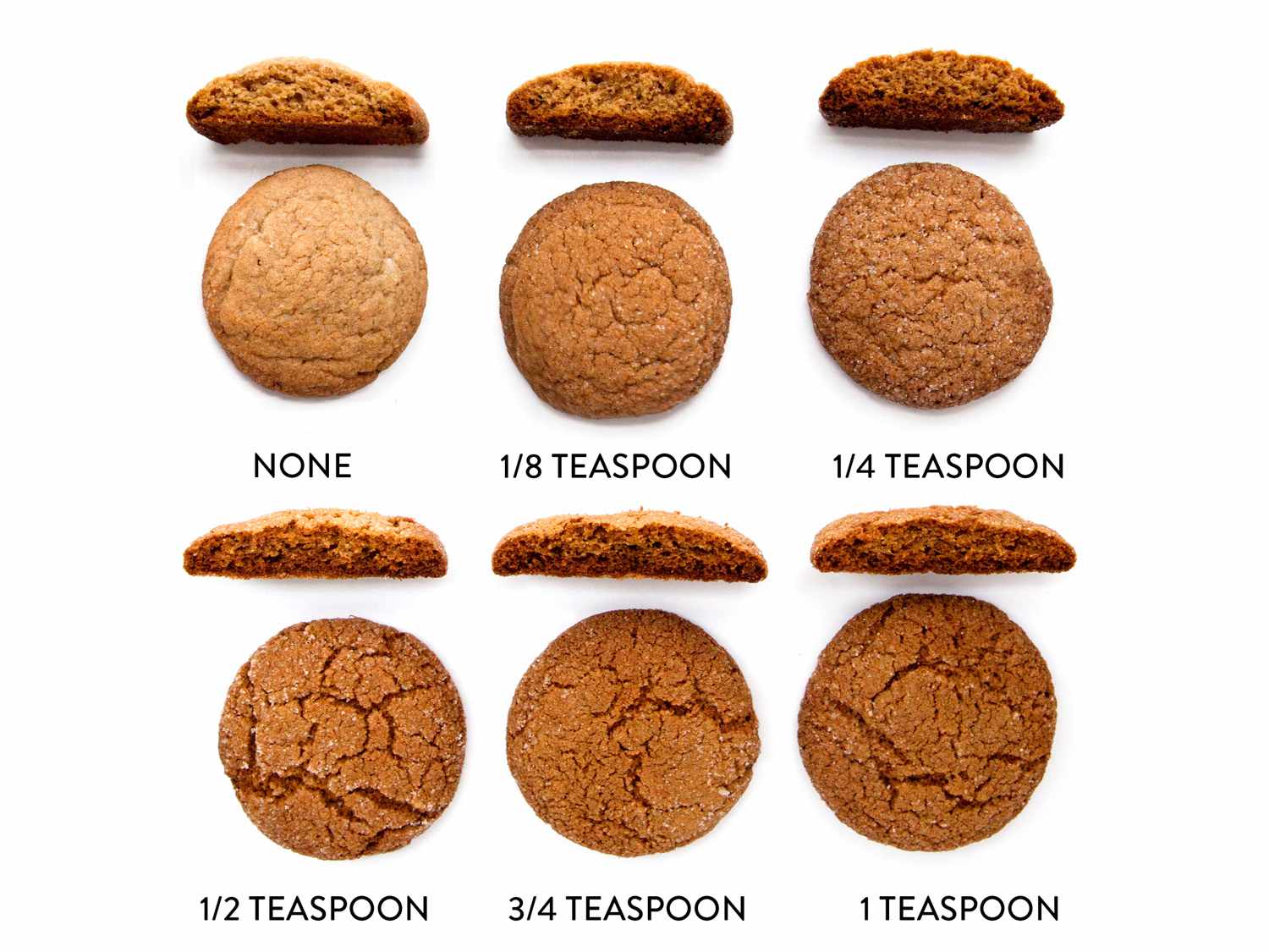 20151028-no-caption-cookie-faq-baking-soda-one-gingersnaps-sarah-jane-sanders-Edit.jpg