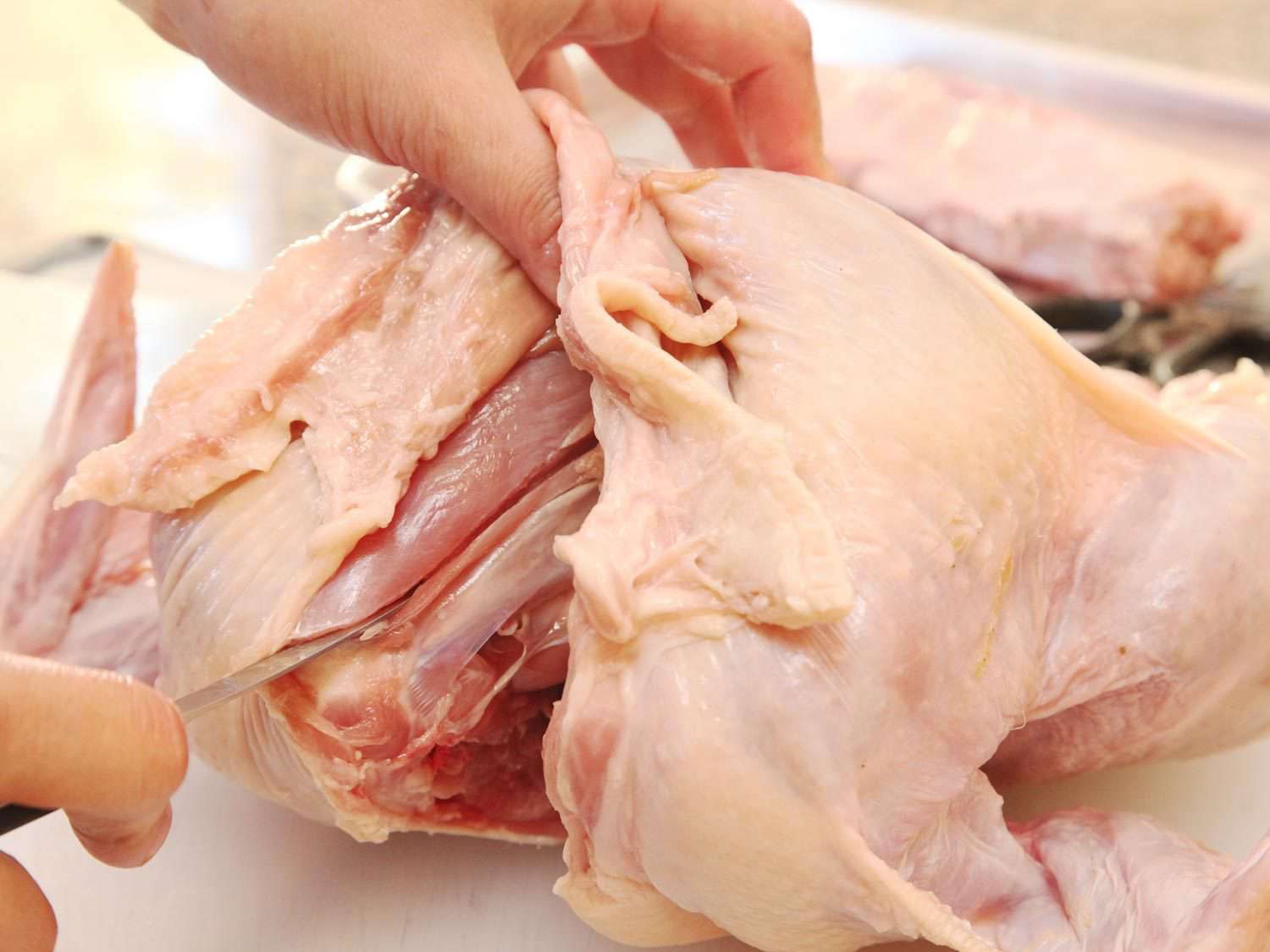 Cutting out a turkey's wishbone.