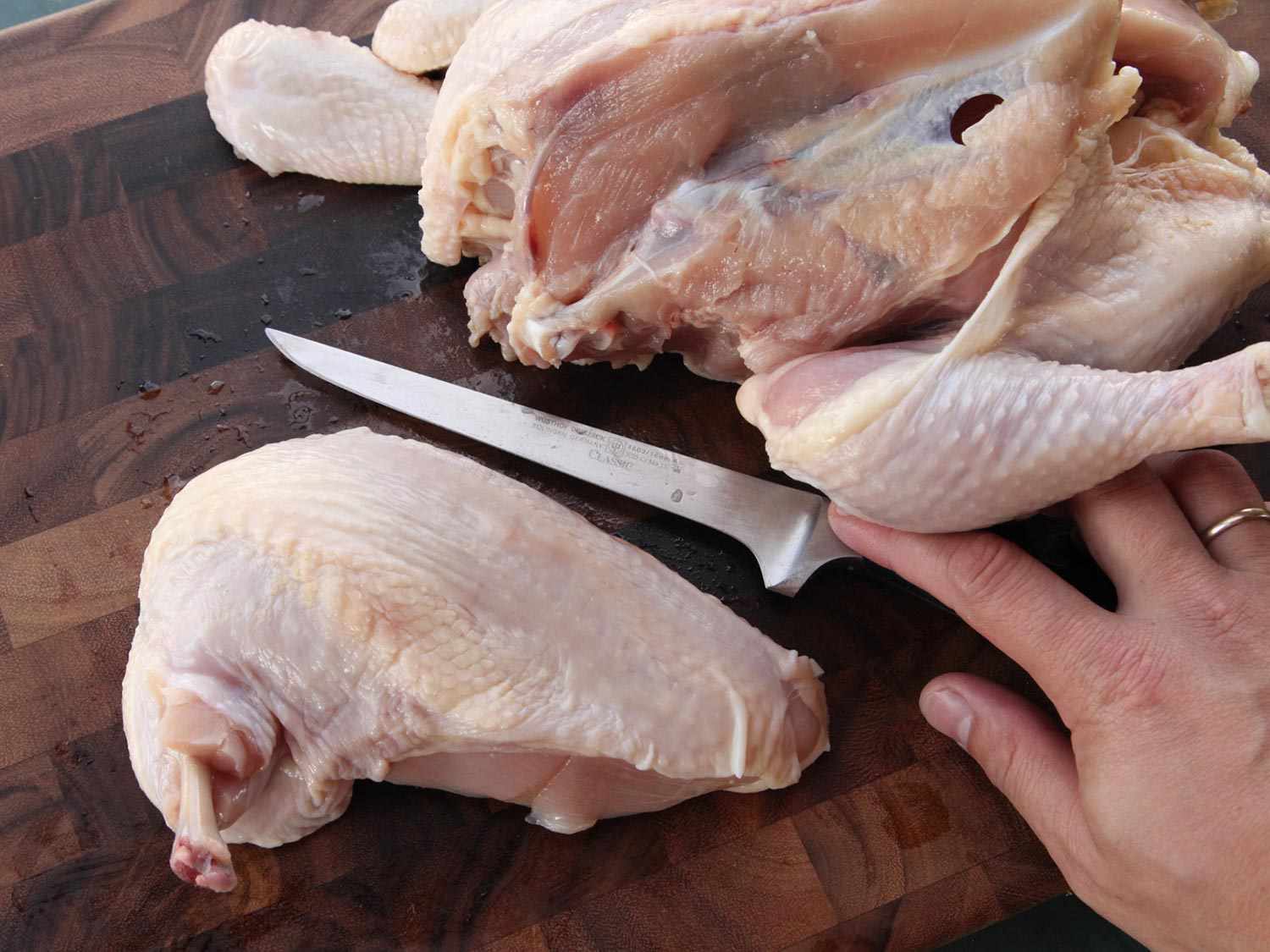 A whole, skin-on, bone-in airline chicken breast separated from the body of a chicken.