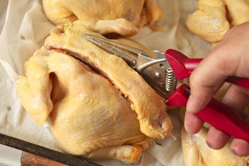 Removing the backs from the Cornish hens by using kitchen shears.
