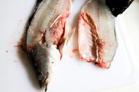 A fish after being sliced with the Victorinox Fillet Knife