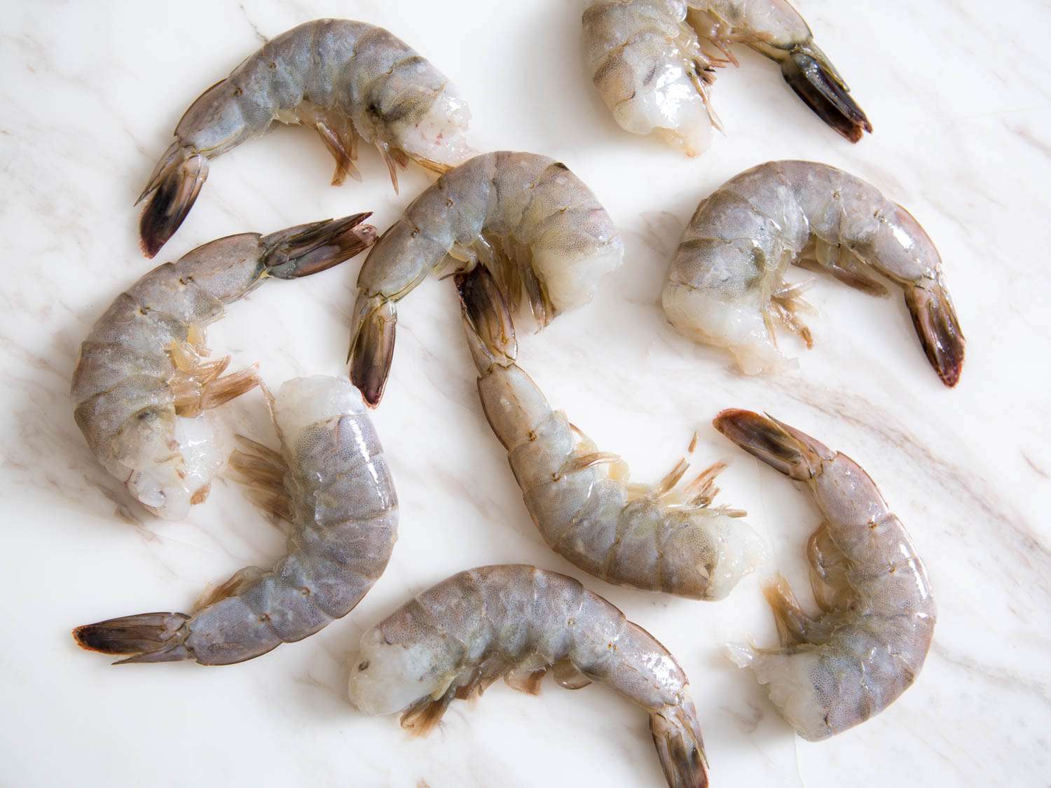 samples of fresh shell-on, tail-on shrimp
