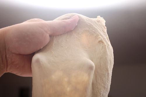 Hand holding stretchy and loose piece of bread dough.