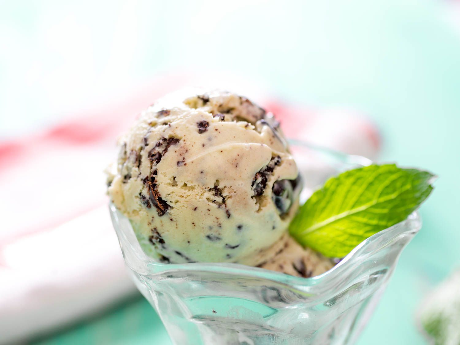 20150616-mint-chocolate-chip-ice-cream-vicky-wasik-2.jpg