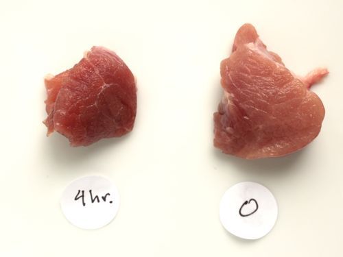 Side by side comparison of pieces of pork shoulder salted after 4 hours (left) and unsalted (right)
