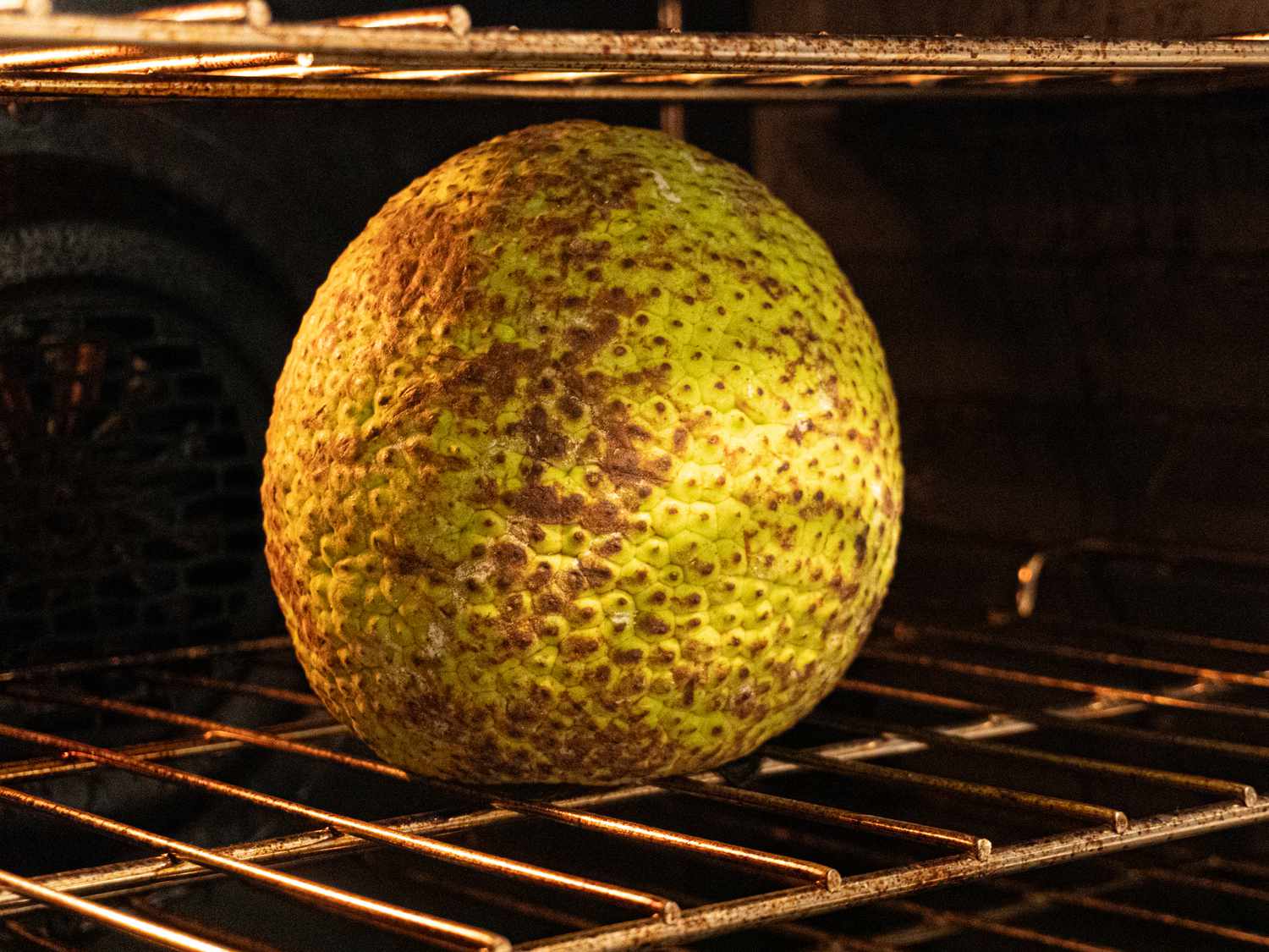 Side view of breadfruit roasting in the oven