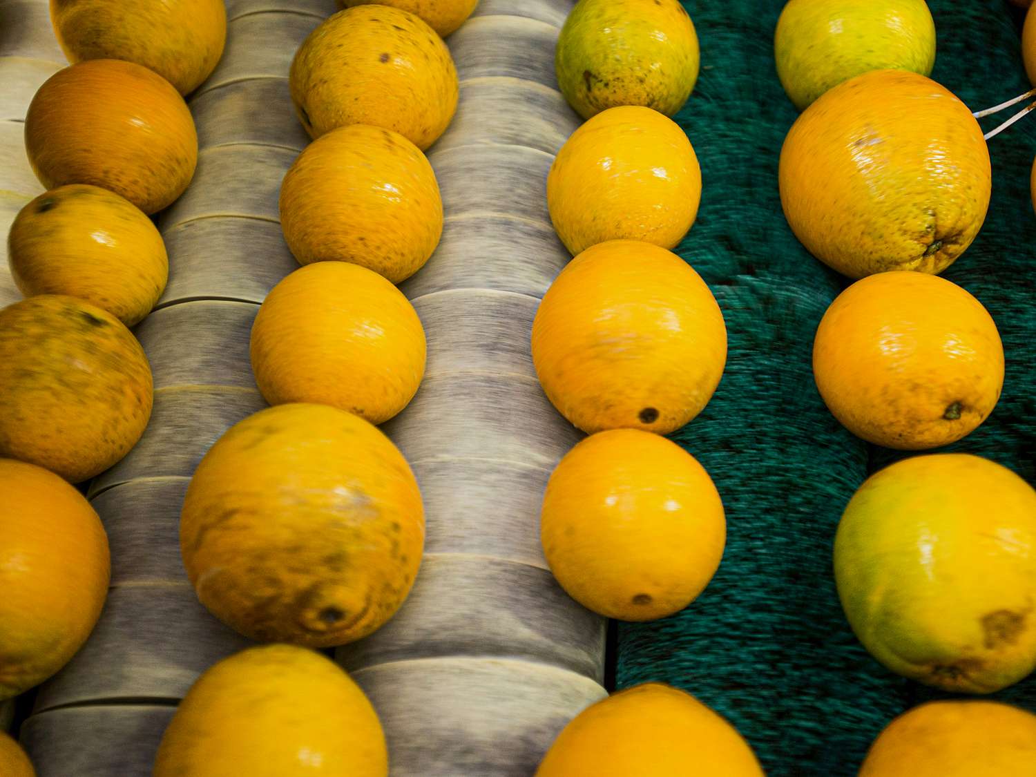 Rows of oranges displayed on a market stand
