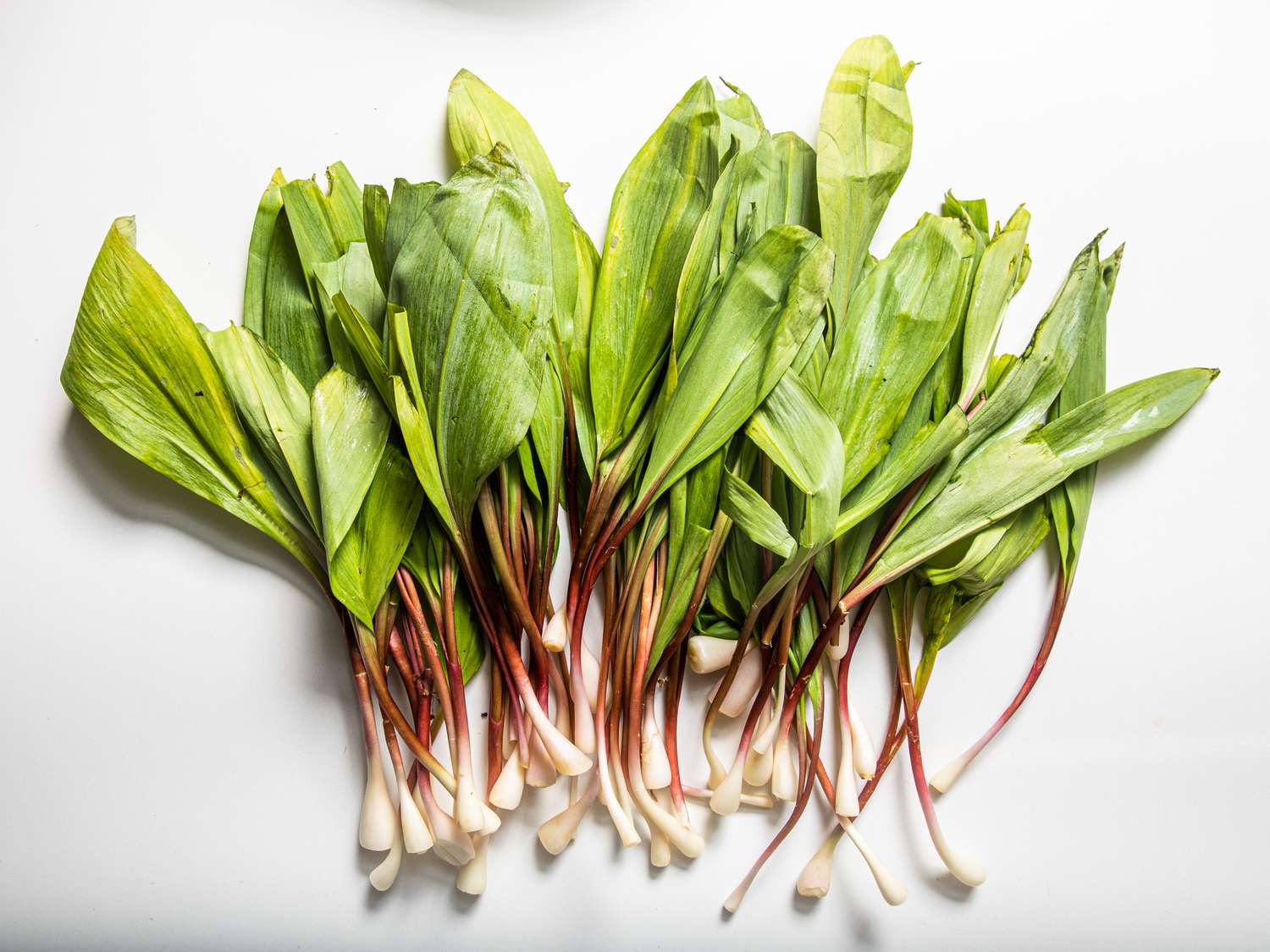Overhead view of ramps