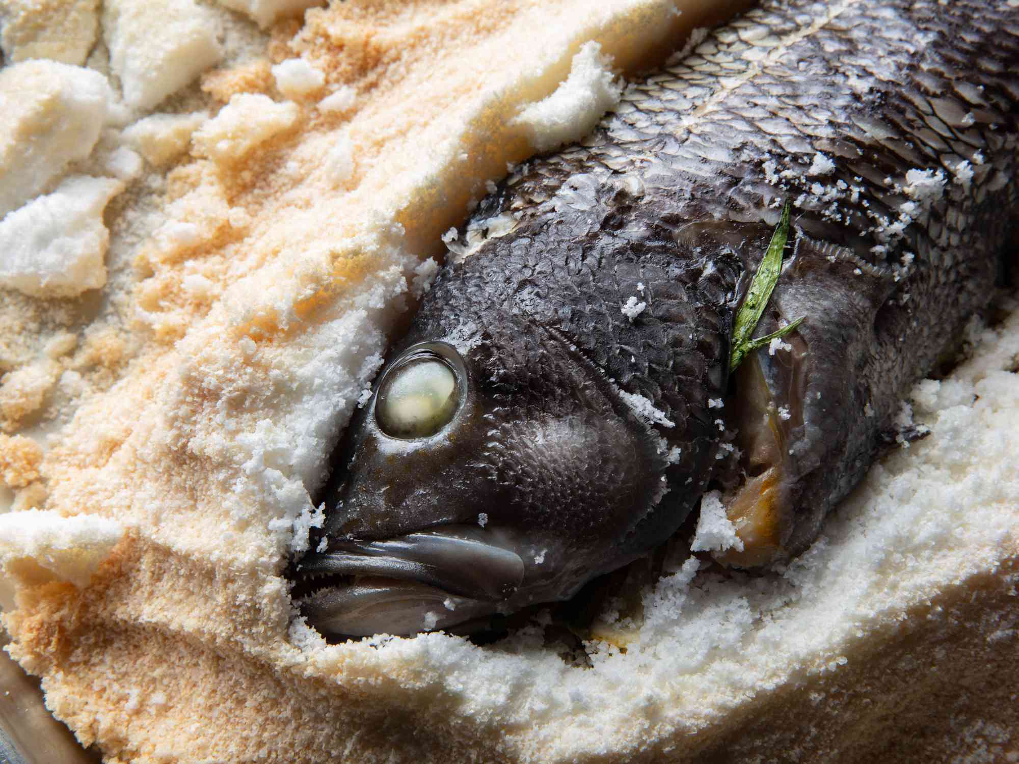 A whole fish on a bed of salt.