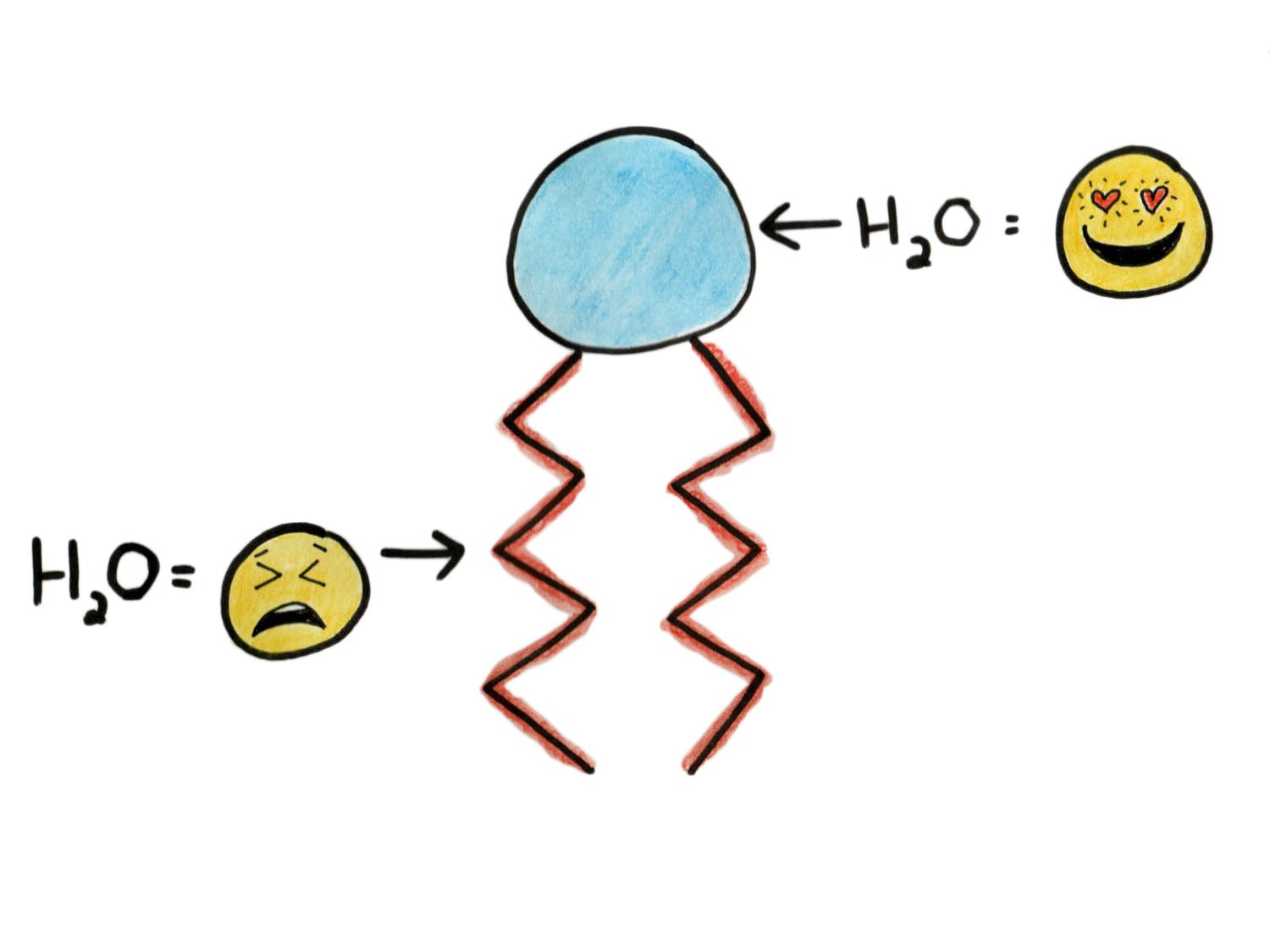20140714-cream-science-what-happens-when-you-whip-it-claire-lower-phospholipid.jpg