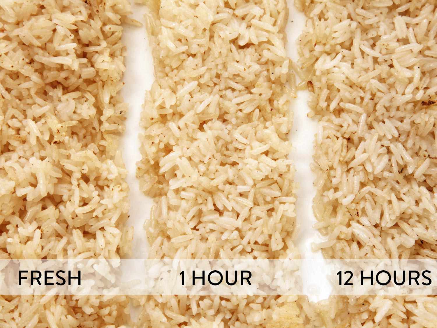 Comparison of freshly cooked rice and rice stored after one hour and 12 hours. 