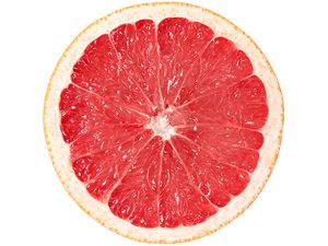 20131212grapefruitside.jpg