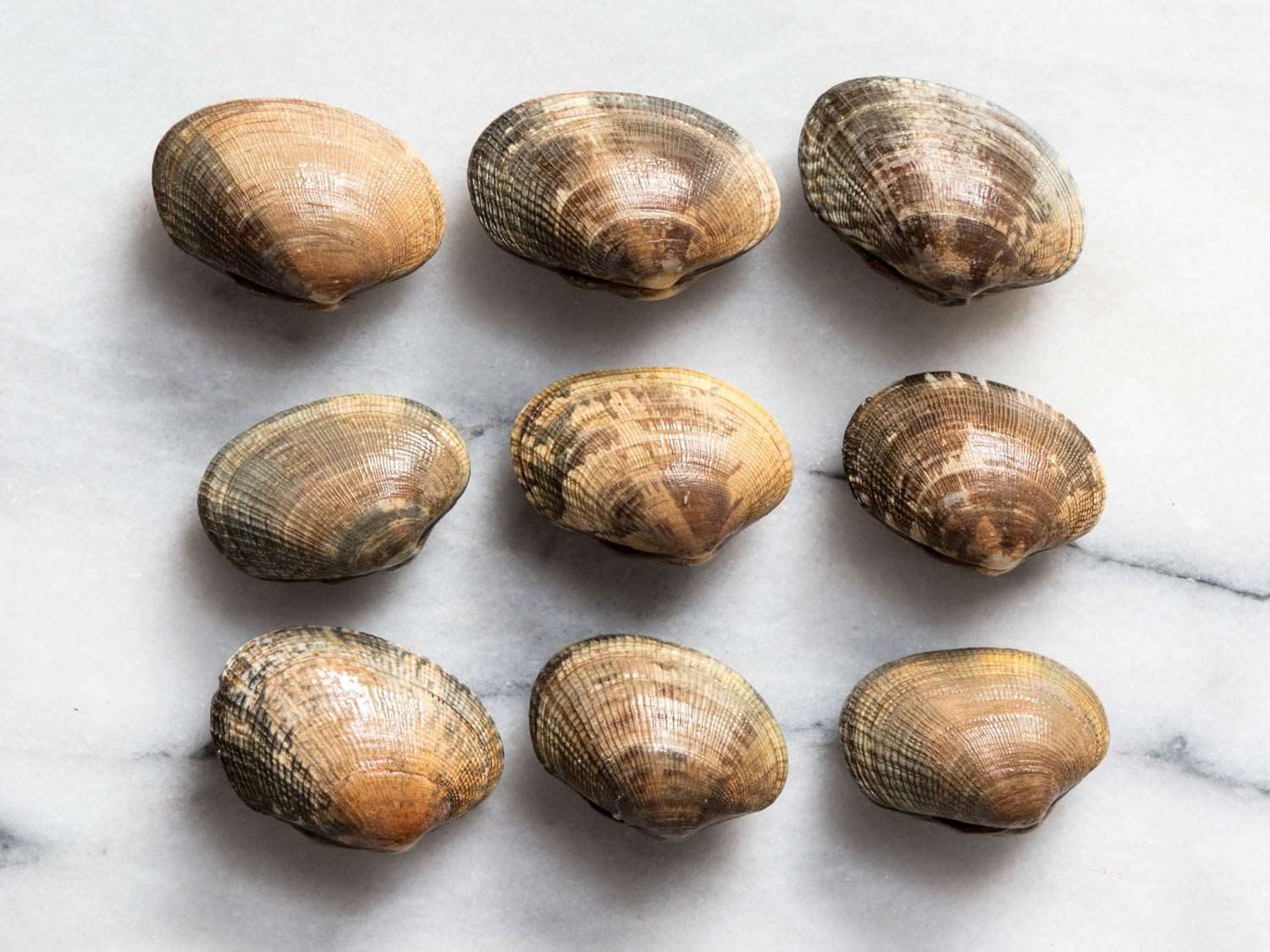 Nine manila clams arranged in rows of three on a marble surface