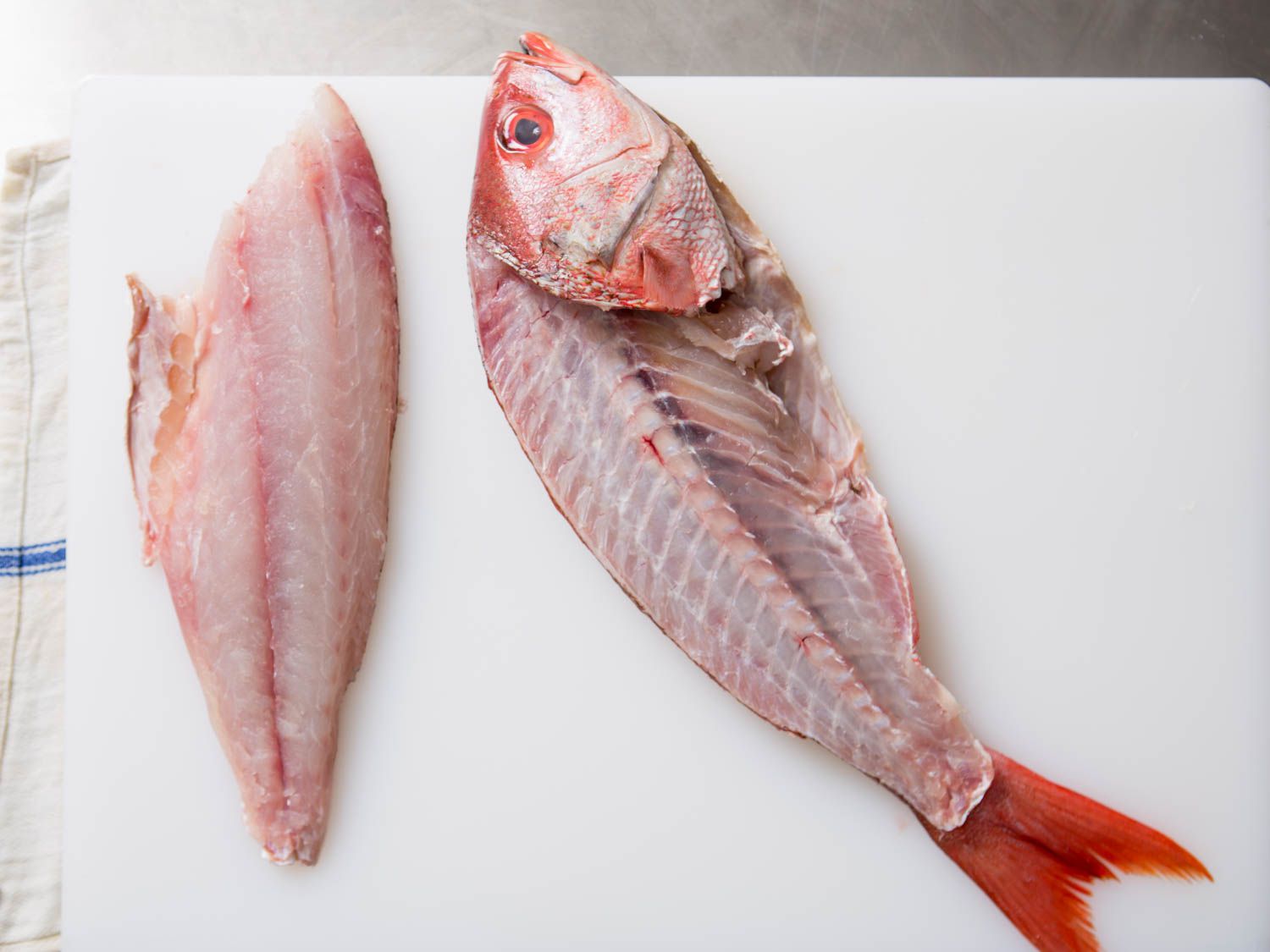 20150922-how-to-fillet-fish-11.jpg