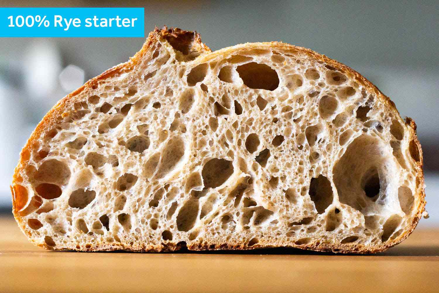 A cross section of the 100% rye starter bread.
