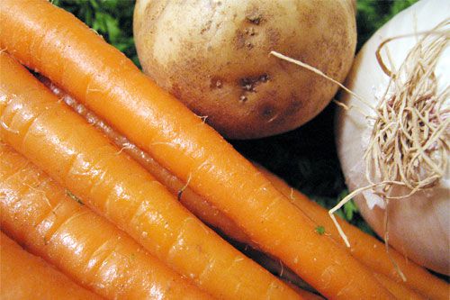 A close up of carrots, an onion, an a potato.