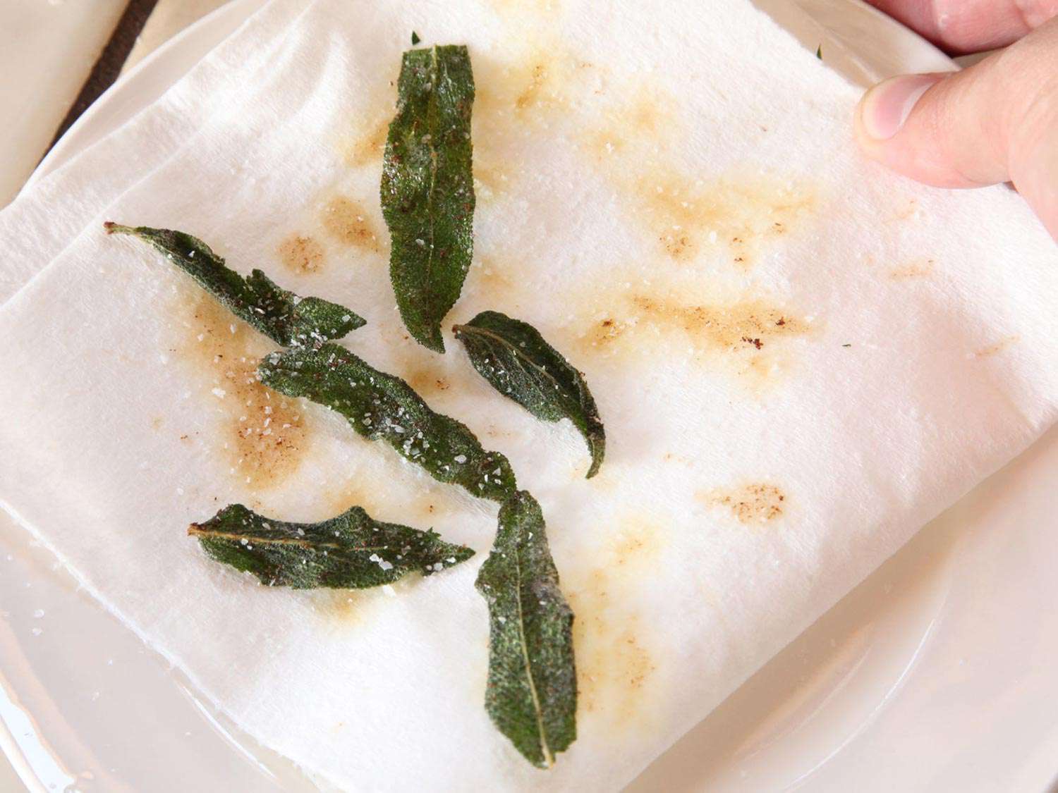 Sage leaves sprinkled with salt in paper towel. 