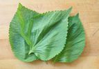 20110722-perilla-leaves.jpg