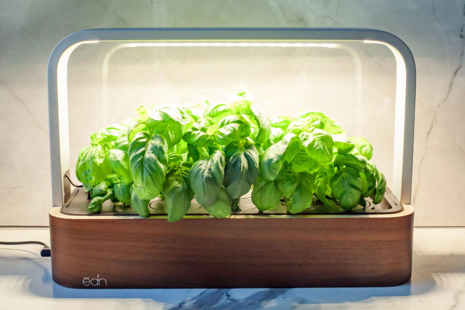 ēdn SmallGarden on marble countertop