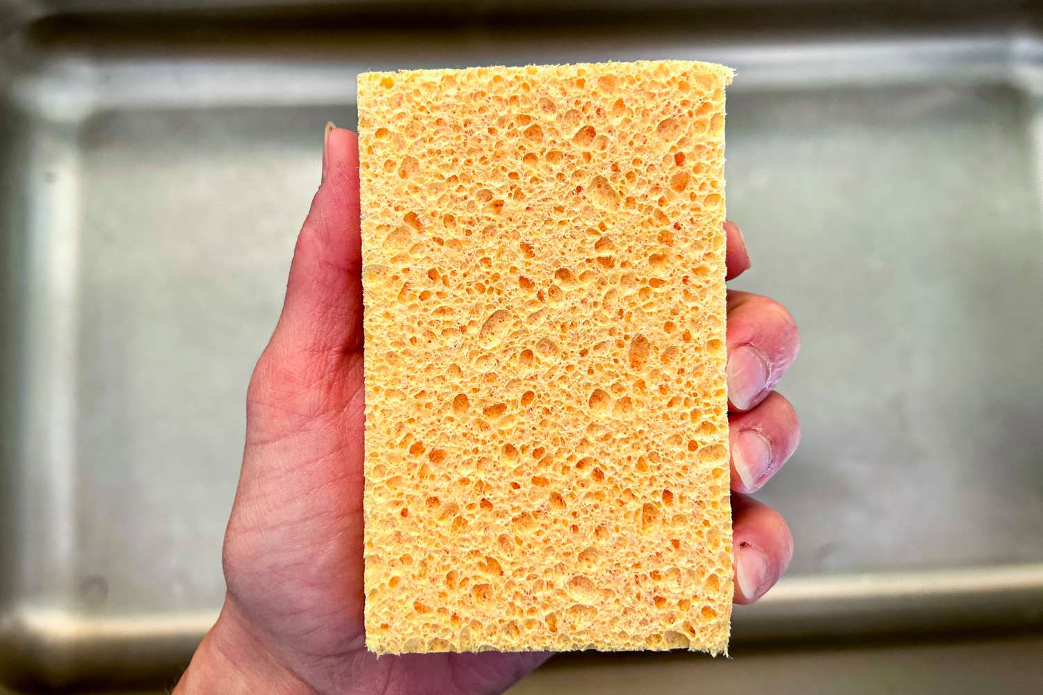 A dishwashing sponge from Public Goods