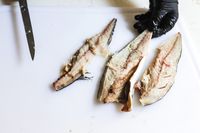 Victorinox Fillet Knife next to three slices of fish