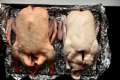 Two uncooked ducks resting on a wire rack set over a foil-lined sheet pan.