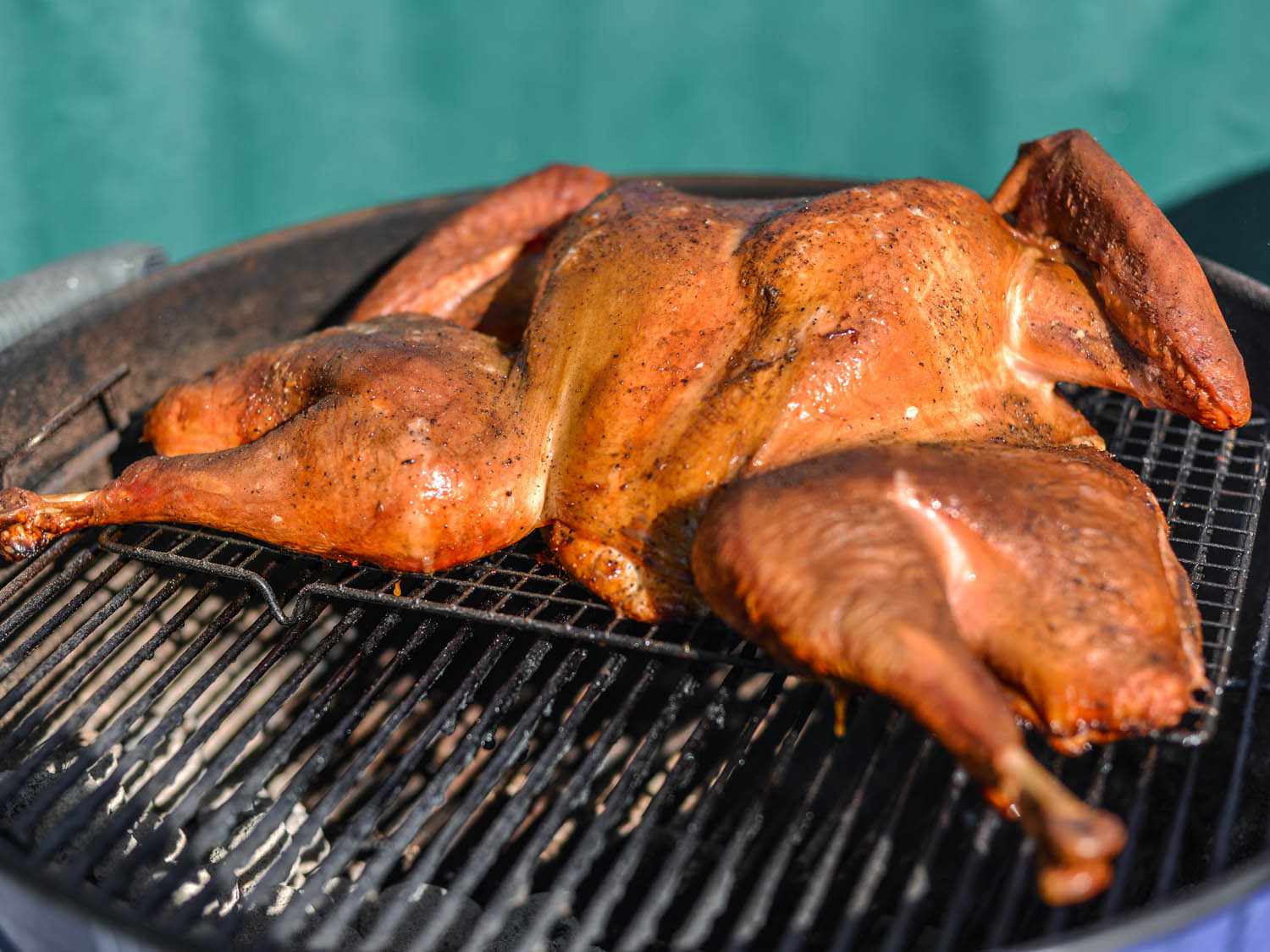A cooked spatchcocked turkey on a grill. 
