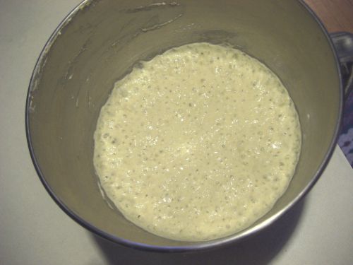 2010121-protips-preferment.JPG