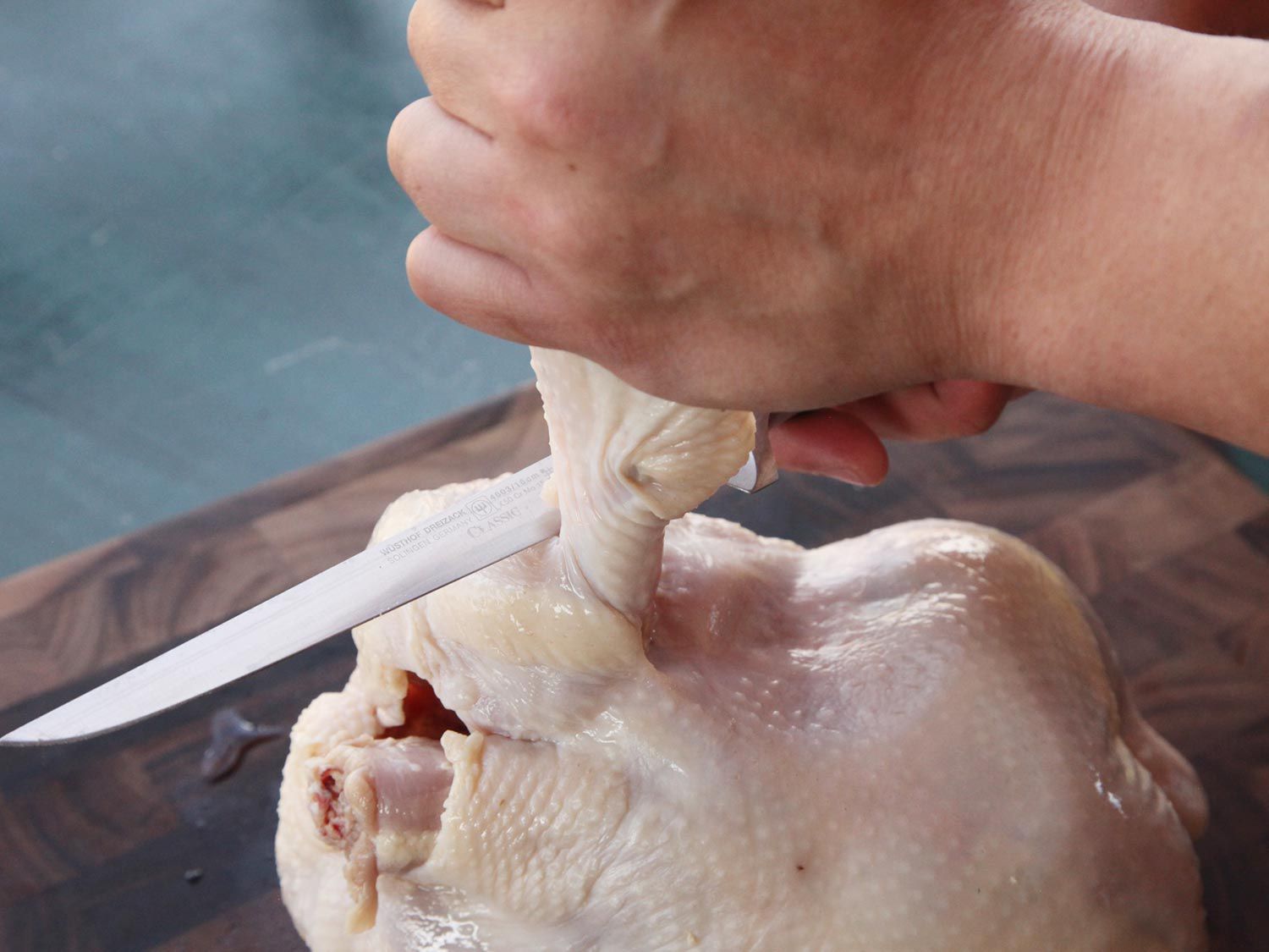 A boning knife slicing off the top part of a chicken wing, which is still attached to a whole chicken.