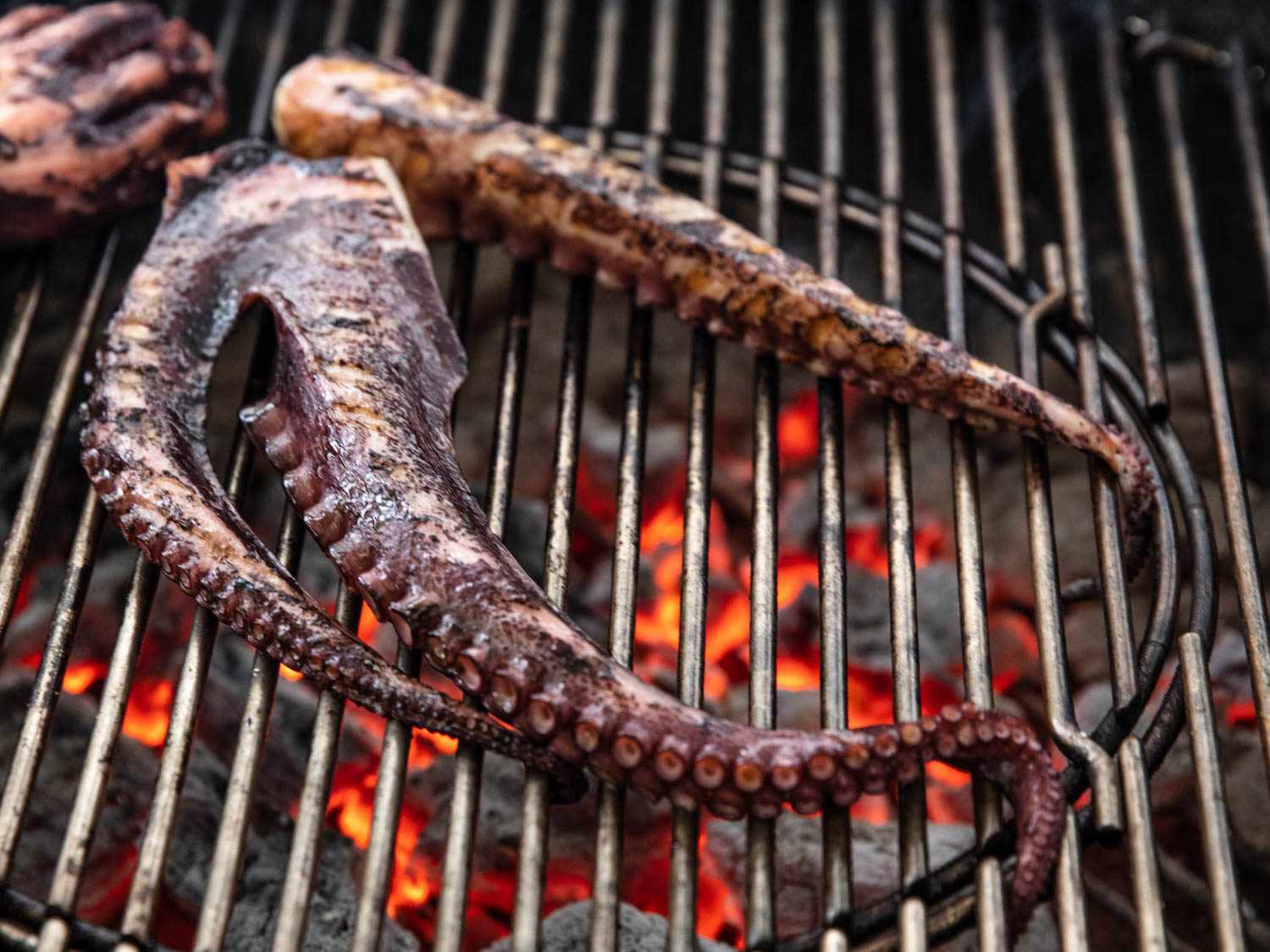 Octopus tentacles on the grill with glowing charcoal briquettes below.