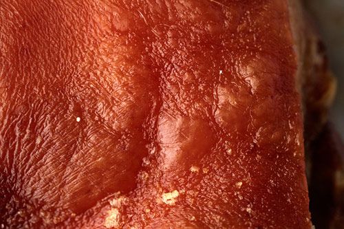 Close up photo of cooked pork skin.