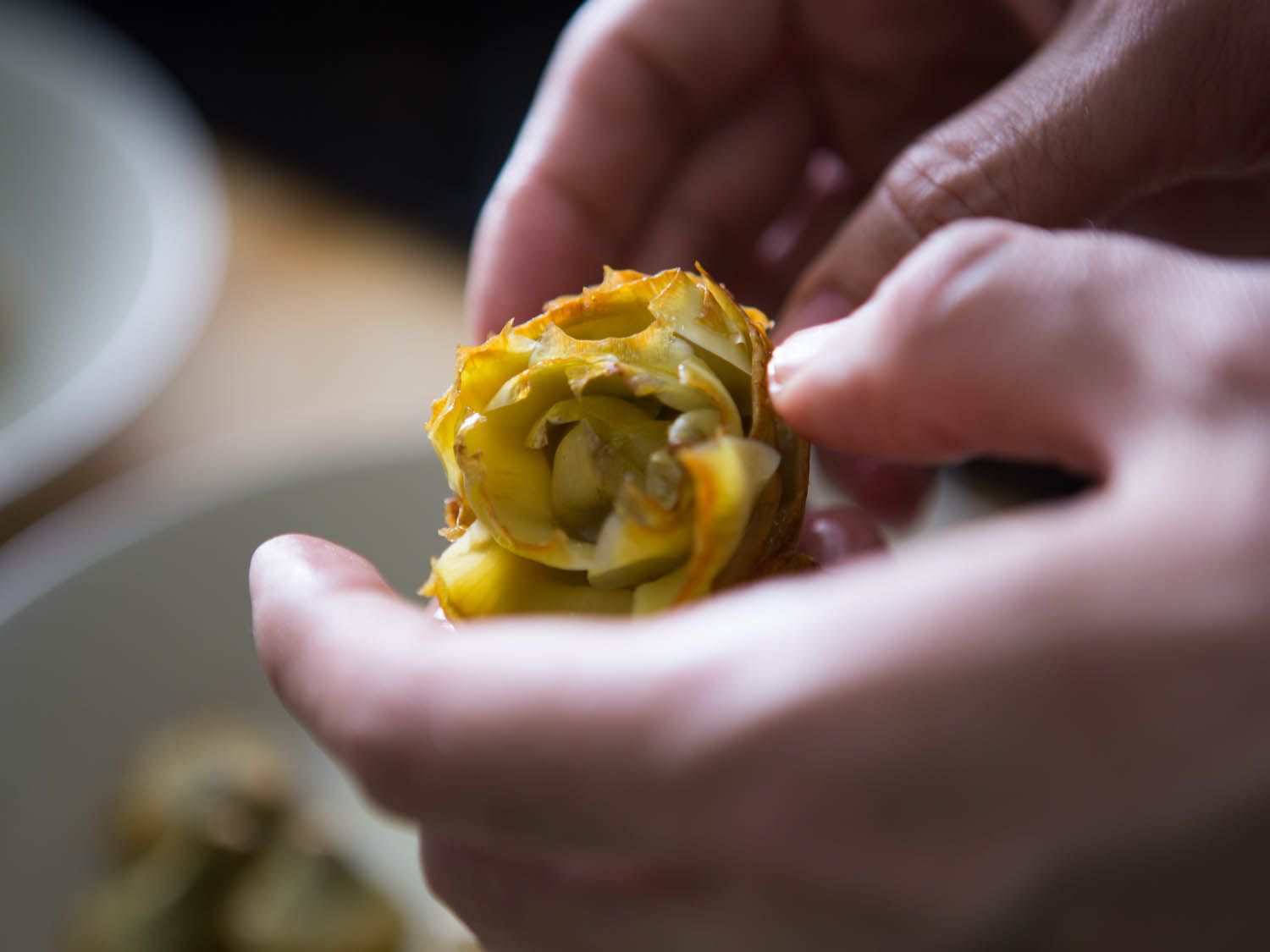Close-up of hands gently prying open the leaves of fried artichoke heart. 